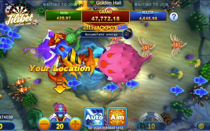 bombing-fishing-introduction