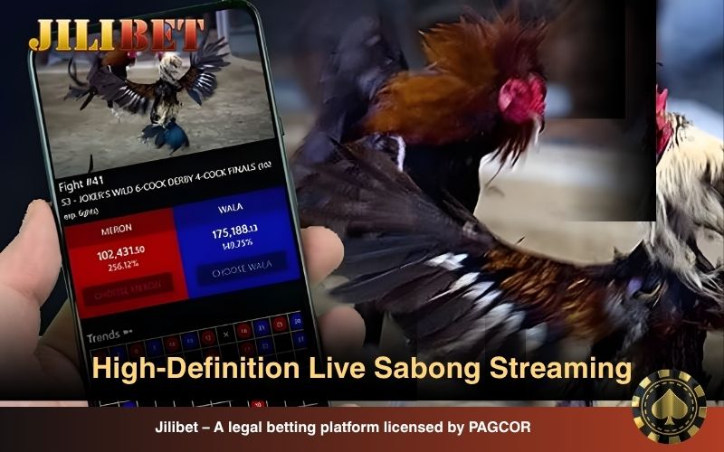 HD live sabong streaming on DS88