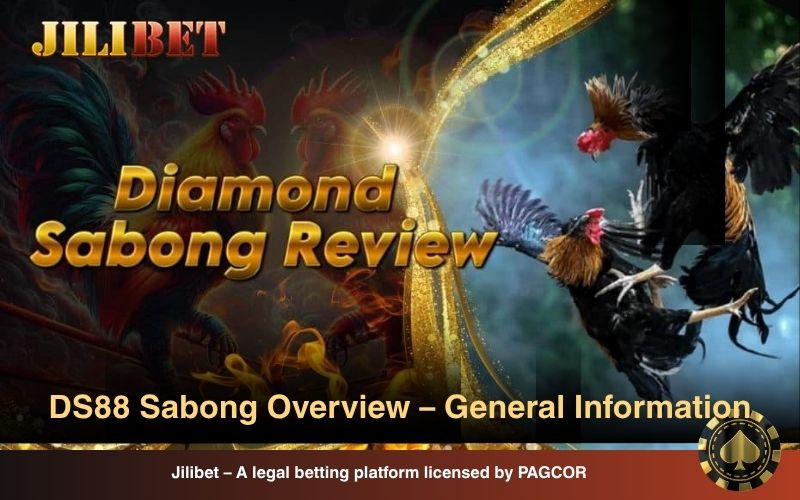 DS88 Sabong overview and key highlights