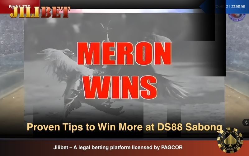 Winning strategies for DS88 Sabong