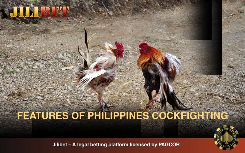 Essential features of Philippines cockfighting online