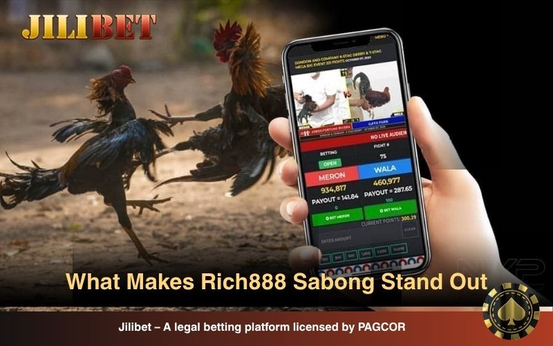 Why Players Trust Rich888 Sabong