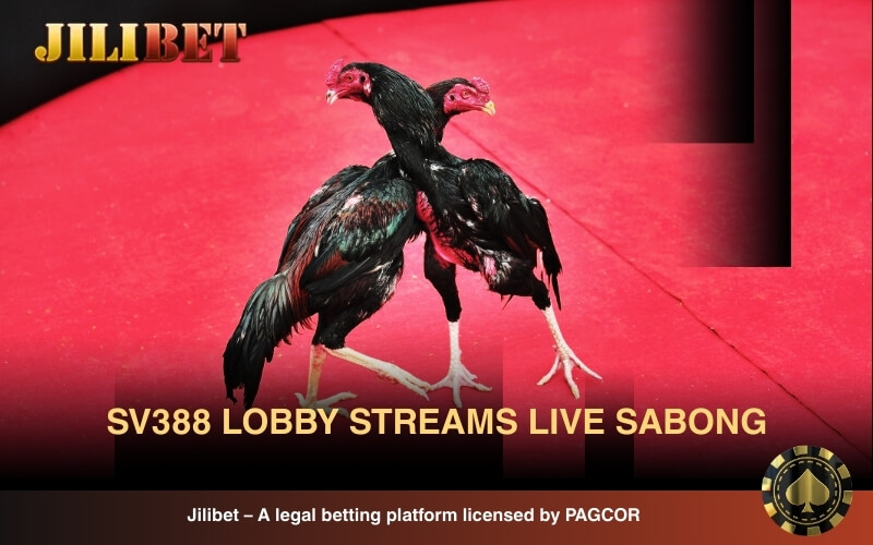SV388 Lobby streams live sabong with schedules, odds and bets