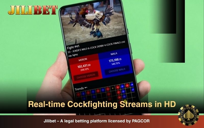 HD live cockfights on WS168 Lobby