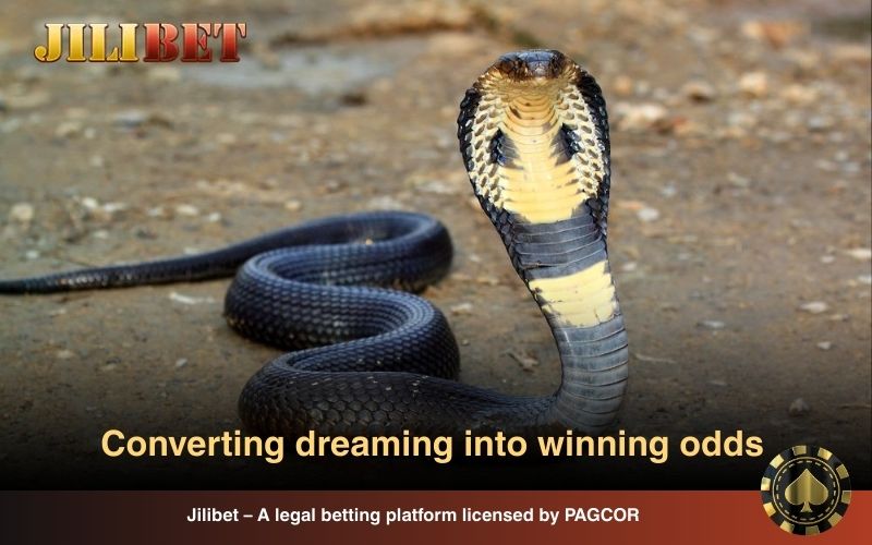 Dreaming About Snakes: Cultural Meanings and Symbolic Luck 5 A bite on the right hand is associated with receiving money