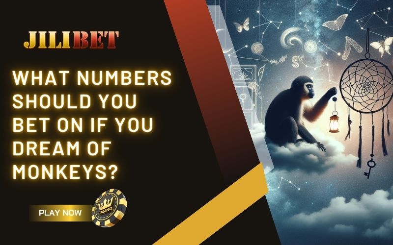 What numbers should you bet on if you dream of monkeys? 1 What numbers should you bet on if you dream of monkeys?
