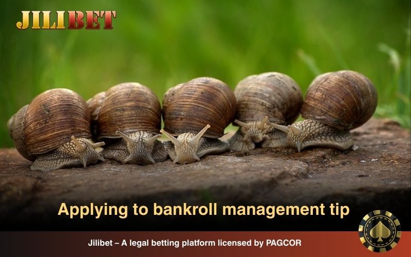 Dreaming of Snails Explained: Meaning, Numbers and Smart Betting 5 Track every bet you make in casino